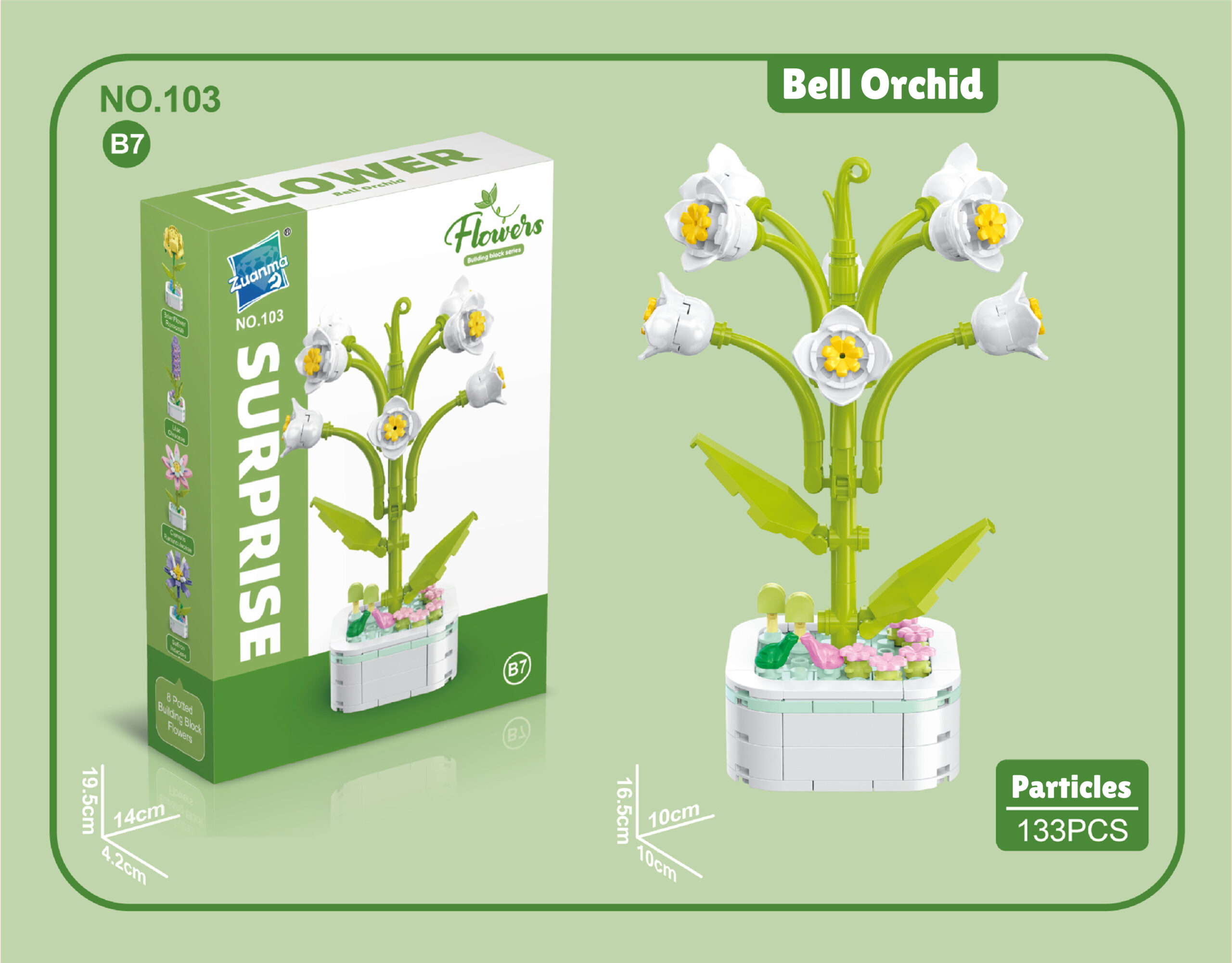 Bell Orchid by Surprise Flower