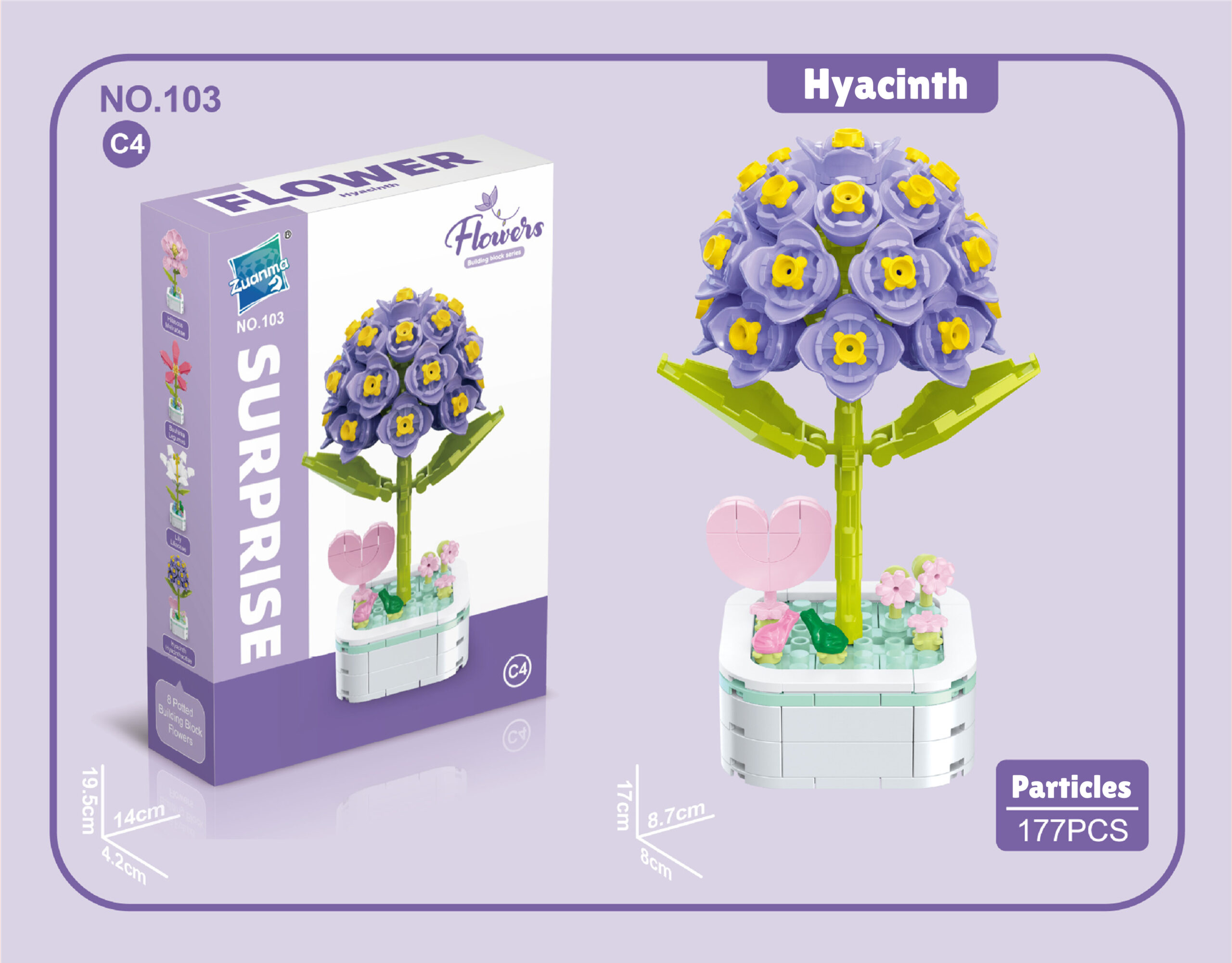 Hyacinth by Surprise Flower