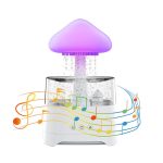 5 In 1 Rain Cloud Humidifier